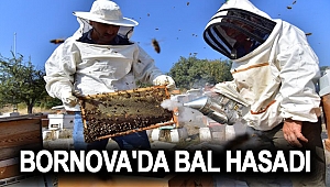 Bornova'da bal hasadı