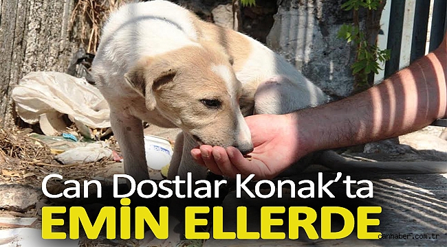 CAN DOSTLAR KONAK’TA EMİN ELLERDE
