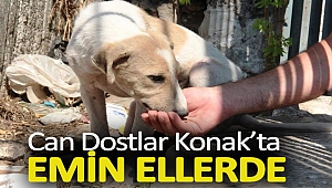 CAN DOSTLAR KONAK’TA EMİN ELLERDE