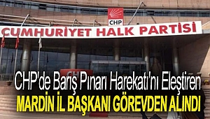 CHP'de Barış Pınarı Harekatı'nı eleştiren Mardin İl Başkanı görevden alındı