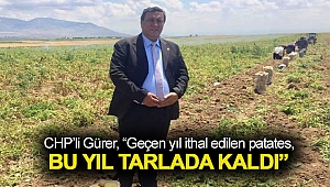CHP'li “Geçen yıl ithal edilen patates, bu yıl tarlada kaldı”