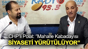 CHP'li Polat: ''Mahalle Kabadayısı Siyaseti Yürütülüyor''