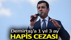 Demirtaş’a 1 yıl 3 ay hapis cezası