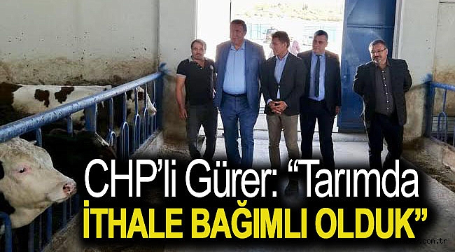 Gürer: “Tarımda ithale bağımlı olduk”