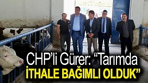 Gürer: “Tarımda ithale bağımlı olduk”