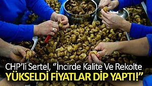 İncirde kalite ve rekolte yükseldi fiyatlar dip yaptı!