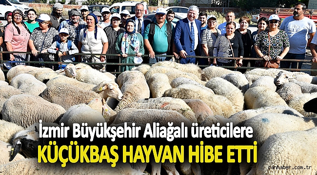 İzmir Büyükşehir Aliağalı üreticilere küçükbaş hayvan hibe etti