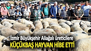 İzmir Büyükşehir Aliağalı üreticilere küçükbaş hayvan hibe etti