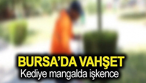 Kediye mangalda işkence