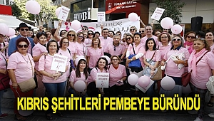 Kıbrıs Şehitleri Pembeye Büründü