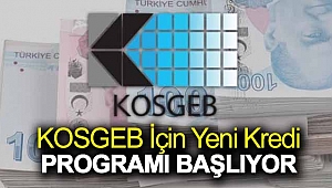 KOSGEB İçin Yeni Kredi Programı Başlıyor