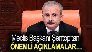 Meclis Başkanı Şentop’tan önemli açıklamalar…