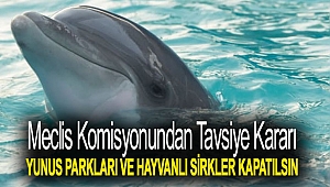 Meclis komisyonundan tavsiye kararı: Yunus parkları ve hayvanlı sirkler kapatılsın