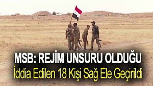 MSB: Rejim unsuru olduğu iddia edilen 18 kişi sağ ele geçirildi