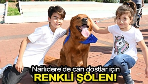 Narlıdere’de can dostlar için renkli şölen!