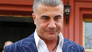 Peker'den Barış Pınarı Harekâtı'na tam destek
