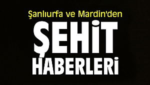 Şanlıurfa ve Mardin'de şehitlerimiz var!