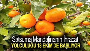 Satsuma mandalinanın ihracat yolculuğu 18 Ekim’de başlıyor