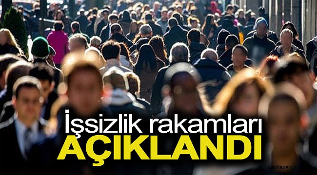 Son dakika: İşsizlik rakamları açıklandı