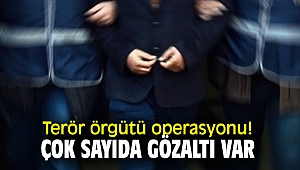 Terör örgütü operasyonu! Çok sayıda gözaltı var
