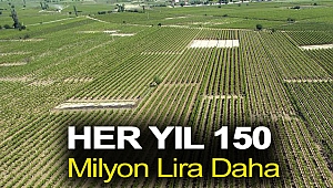 Üreticiye her yıl 150 milyon lira