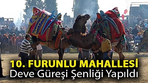 10. FURUNLU MAHALLESİ DEVE GÜREŞİ ŞENLİĞİ YAPILDI