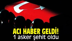Acı haber geldi! 1 asker şehit oldu