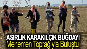 Asırlık karakılçık buğdayı Menemen toprağıyla buluştu