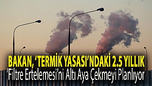 Bakan, ‘termik yasası’ndaki 2.5 yıllık ‘filtre ertelemesi’ni altı aya çekmeyi planlıyor