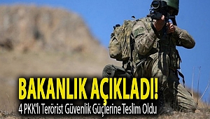 Bakanlık açıkladı! 4 PKK’lı terörist güvenlik güçlerine teslim oldu