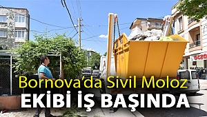 Bornova’da Sivil Moloz Ekibi iş başında