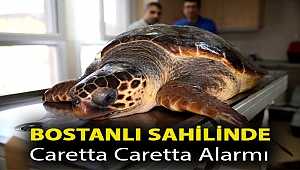 Bostanlı sahilinde caretta caretta alarmı