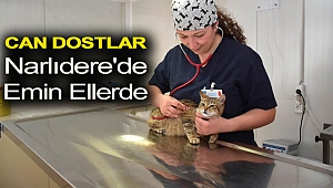 Can dostlar Narlıdere'de emin ellerde