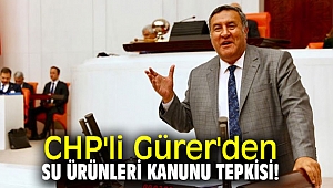 CHP'li Gürer'den Su Ürünleri Kanunu tepkisi!