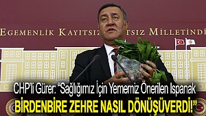 CHP'li Gürer: “Sağlığımız için yememiz önerilen ıspanak birdenbire zehre nasıl dönüşüverdi!”