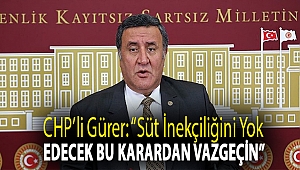 CHP'li Gürer: