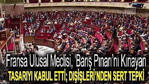 Fransa Ulusal Meclisi, ‘Barış Pınarı’nı kınayan tasarıyı kabul etti; Dışişleri’nden sert tepki