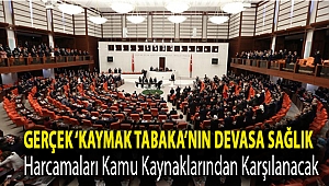 Gerçek ‘kaymak tabaka’nın devasa sağlık harcamaları kamu kaynaklarından karşılanacak