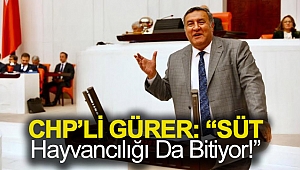 Gürer: “Süt hayvancılığı da bitiyor!”