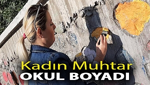 Kadın Muhtar okul boyadı