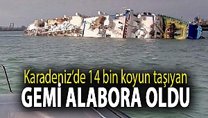 Karadeniz’de 14 bin koyun taşıyan gemi alabora oldu