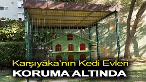 Karşıyaka’nın kedi evleri koruma altında