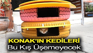 Konak’ın kedileri bu kış üşemeyecek