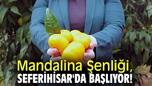 Mandalina Şenliği, Seferihisar'da başlıyor!