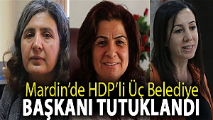 Mardin’de HDP’li üç belediye başkanı tutuklandı