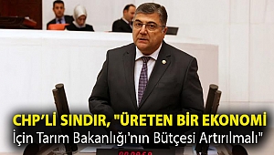 Milletvekili Sındır,