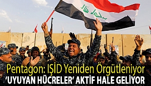 Pentagon: IŞİD yeniden örgütleniyor, ‘uyuyan hücreler’ aktif hale geliyor