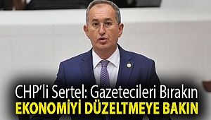 Sertel: Gazetecileri bırakın ekonomiyi düzeltmeye bakın