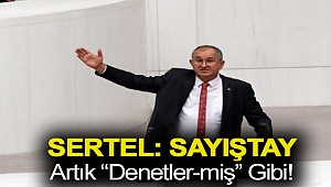 Sertel: Sayıştay artık “denetler-miş” gibi!