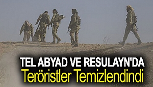 Tel Abyad ve Resulayn'da teröristler temizlendi